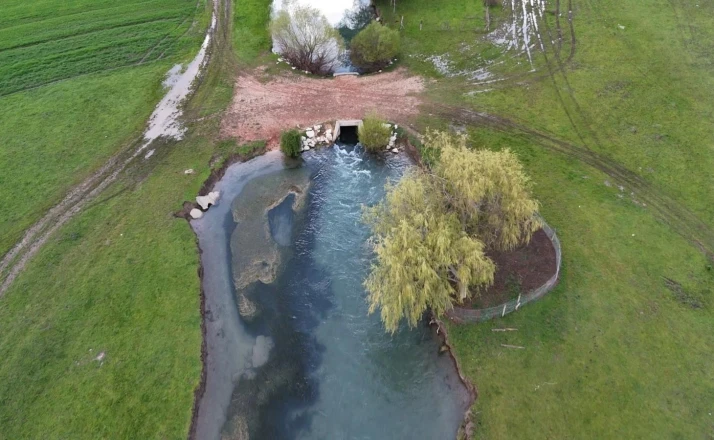 Leyleklerin durağı yemyeşil görüntüsüyle mest ediyor