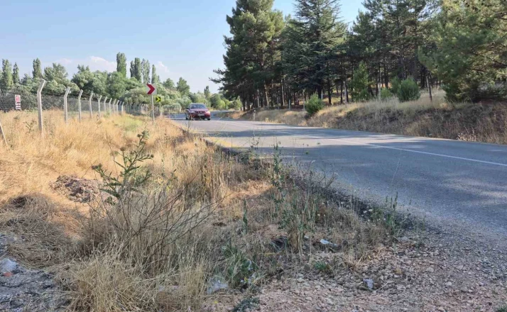 Mahalle muhtarından yol kenarlarındaki kurumuş otlar için ’yangın’ uyarısı 