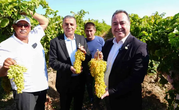 Manisa’da bağbozumu heyecanı başladı
