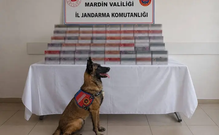Mardin’de 8 milyon lira değerinde kaçak ürün ele geçirildi
