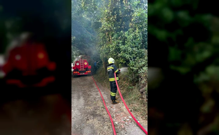 Muğla’da korkutan ot yangını: 30 metrekare alan zarar gördü 