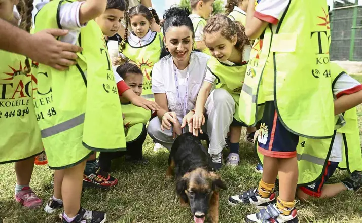 Muratpaşa’da 2026’da 287 sokak hayvanı yeni yuvasına kavuştu

