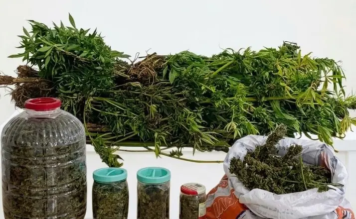 Ordu’da uyuşturucu operasyonunda 1 tutuklama
