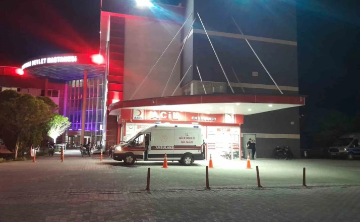 Otomobil yola çıkan köpeğe çarptı: 4 yaralı