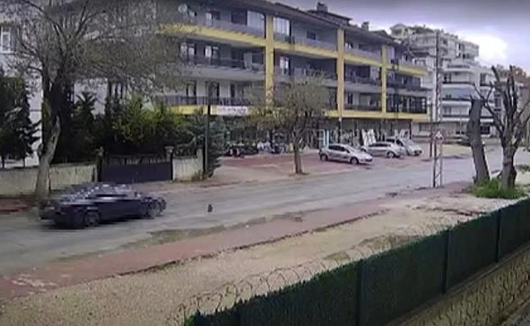 Otomobilin çarpmasıyla ölen kedinin yavrusu başından ayrılmadı