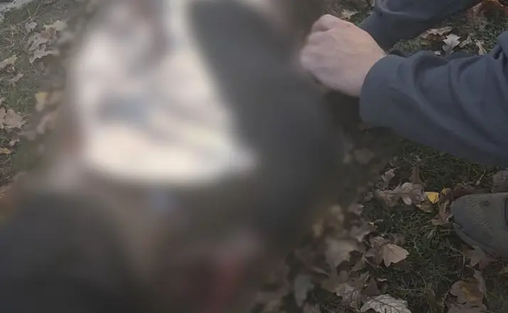 Rusya Ukrayna’da parkı vurdu: 3’ü çocuk 6 ölü
