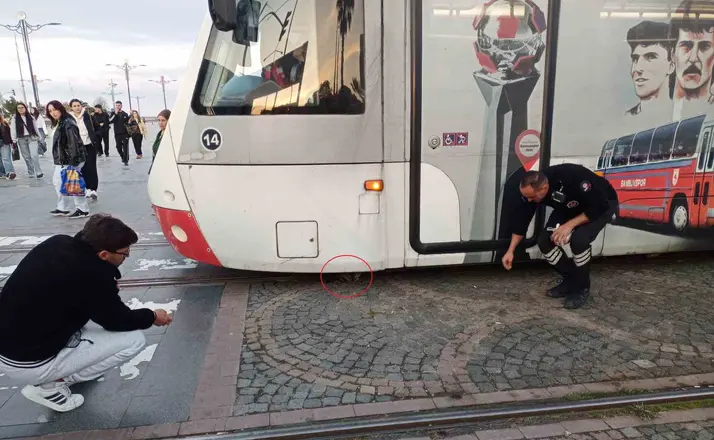 Samsun’da yürekleri ağza getiren anlar
