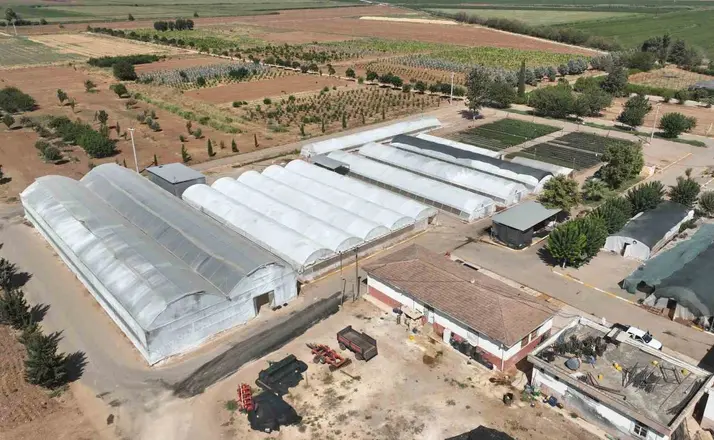 Şanlıurfa’da 500 bin mevsimlik çiçek üretilecek
