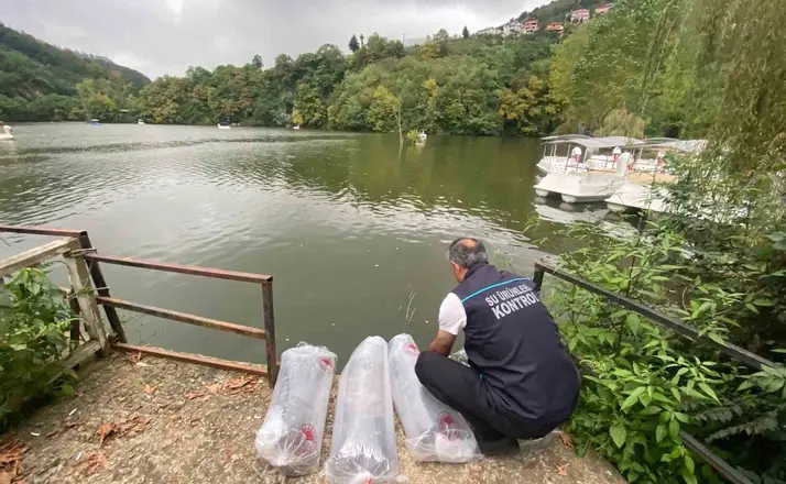 Sera Gölü’ne 40 bin sazan yavrusu bırakıldı
