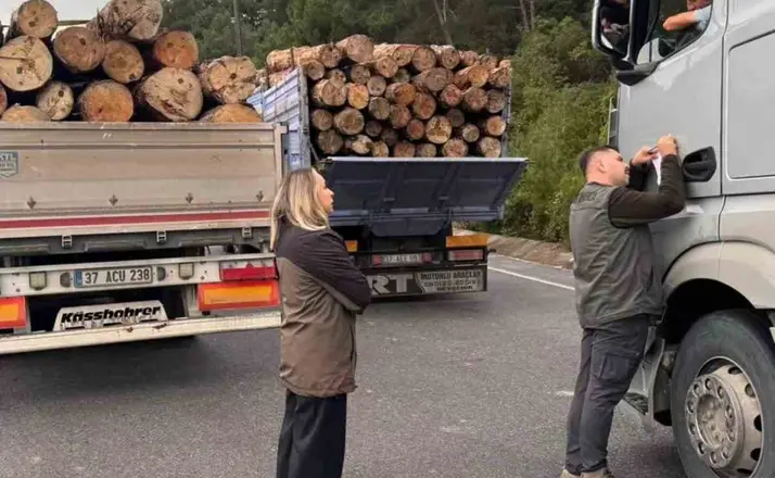 Sinop’ta orman ekipleri yasa dışı faaliyetlere karşı teyakkuzda
