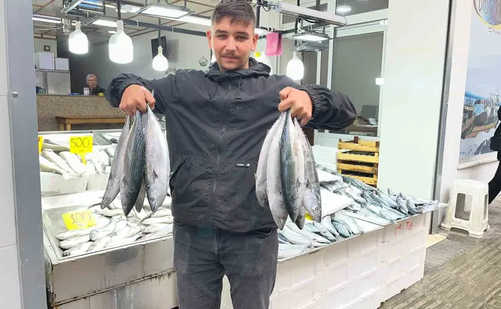 Sinop’ta palamut 50 lira
