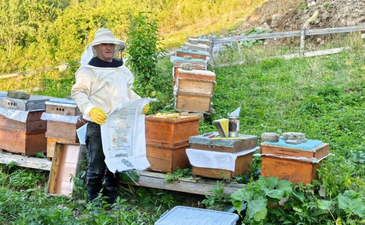 Sinop’un köyünden sofralara doğal bal yolculuğu 