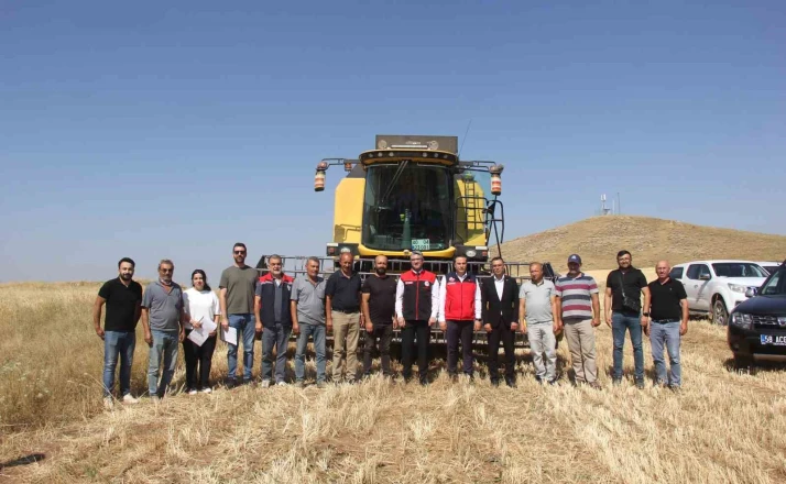 Sivas’ta ilk kez toprakla buluşturulan 5 farklı çeşit buğday hasat edildi 