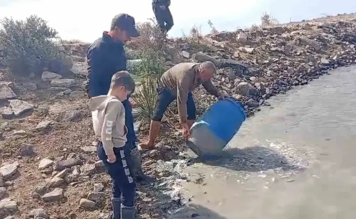 Sulama kanallarında mahsur kalan balıklar kurtarıldı
