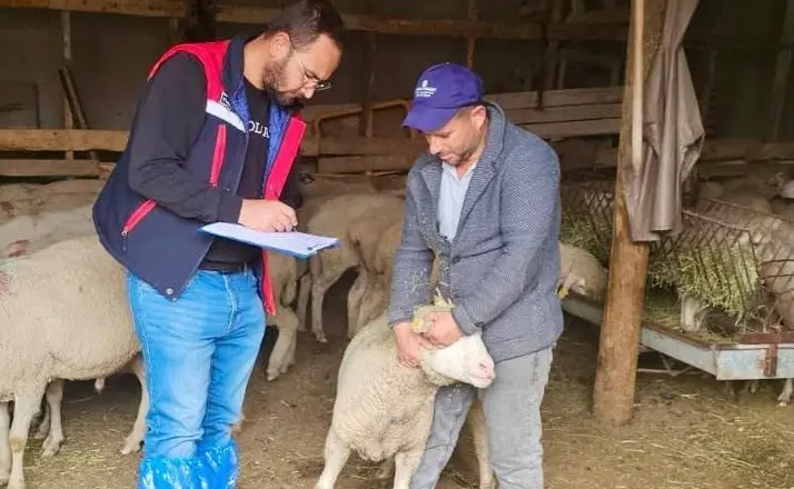 Sürdürülebilir Koyun Projesi çerçevesinde işletme denetimleri sürüyor
