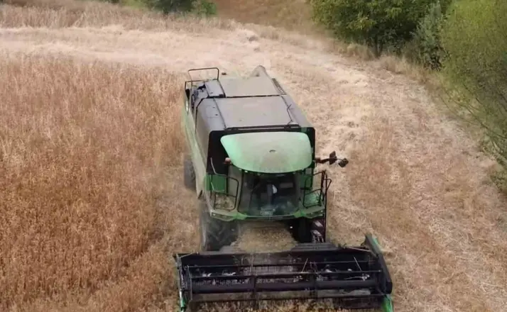 Tavşanlı’da aspir hasadı devam ediyor
