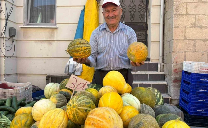 Tavşanlı’nın meşhur Kışlademirli kavunu pazara indi 