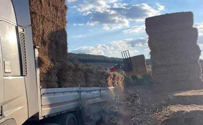 Tekirdağ’da Saman balyaları devrildi, 57 yaşındaki adam hayatını kaybetti
