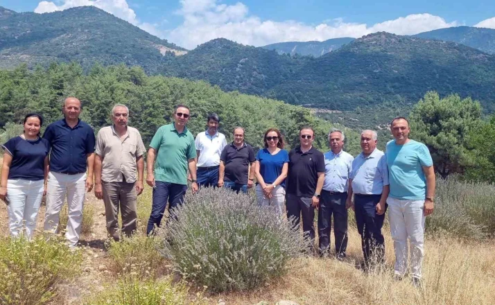 Tıbbi ve Aromatik Bitkileri yerinde inceleme 