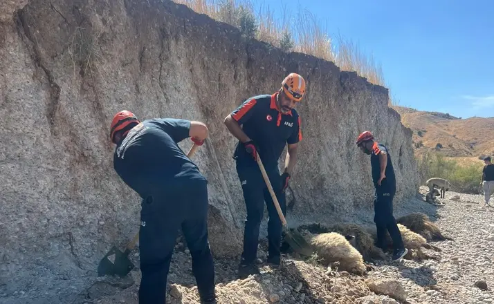 Toprak kaymasında 6 küçükbaş hayvan telef oldu
