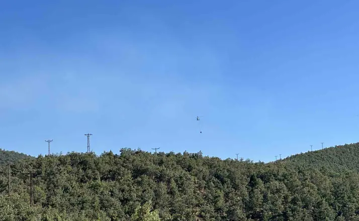 Uşak’ta meşelik alanda çıkan yangın kontrol altına alındı
