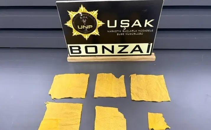 Uşak’ta uyuşturucu operasyonunda 14 şüpheli tutuklandı
