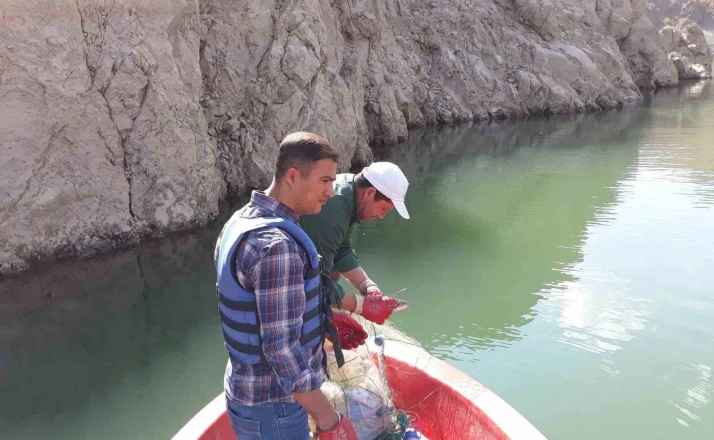 Van’da sazangiller av yasağı sona erdi 