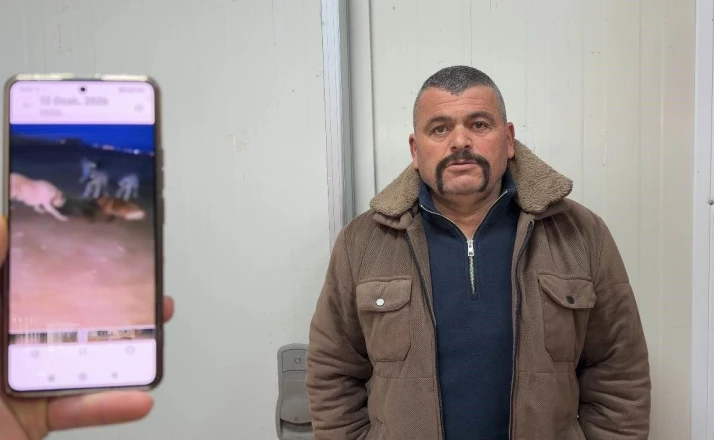 Yaban domuzunu elleriyle yakaladı