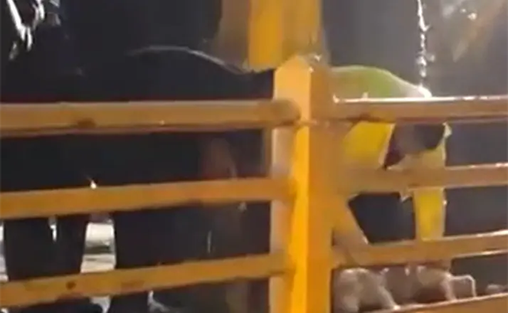 Yalova’da yağmurun durması için kurban kestiler
