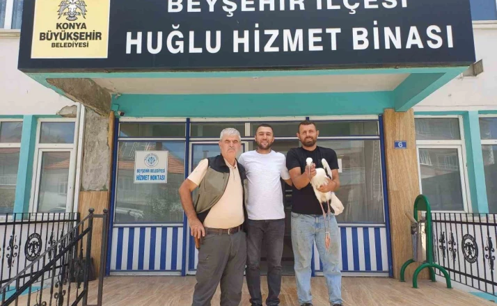 Yaralı leylek koruma altına alındı