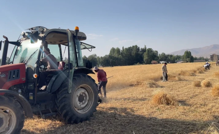 Yüksekova’da asırlık gelenek: İmece usulü hasat dönemi devam ediyor

