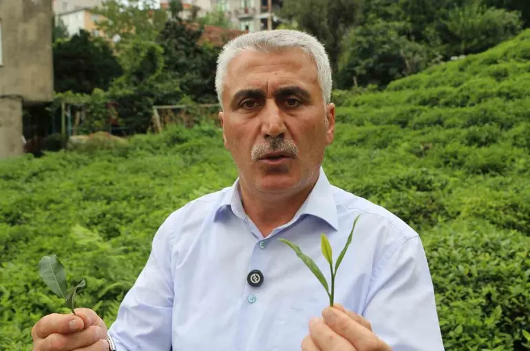 12 Eylül 1980 darbesinde çay makası bile yasaklanmış
