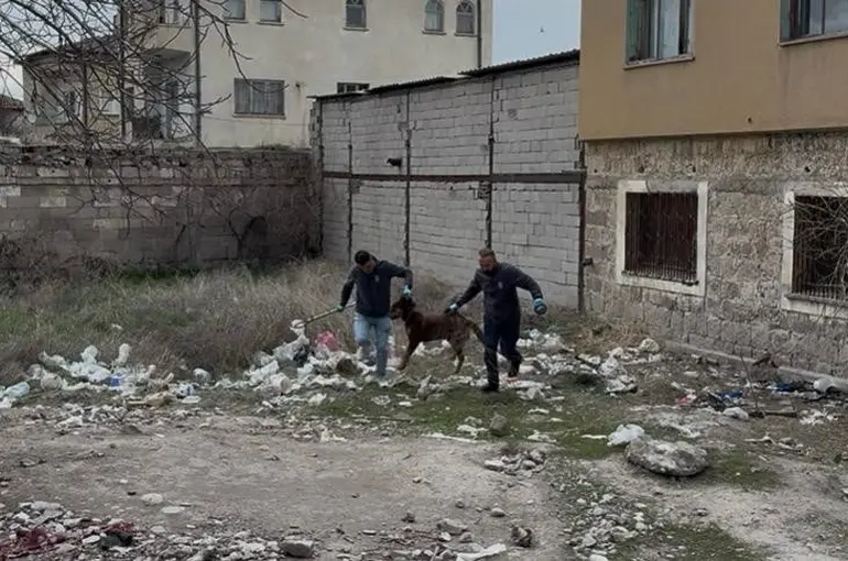 3 yaşındaki çocuğuna köpek saldıran baba: "Köpeğin çocuğumuzu bırakması için çok uğraştık"
