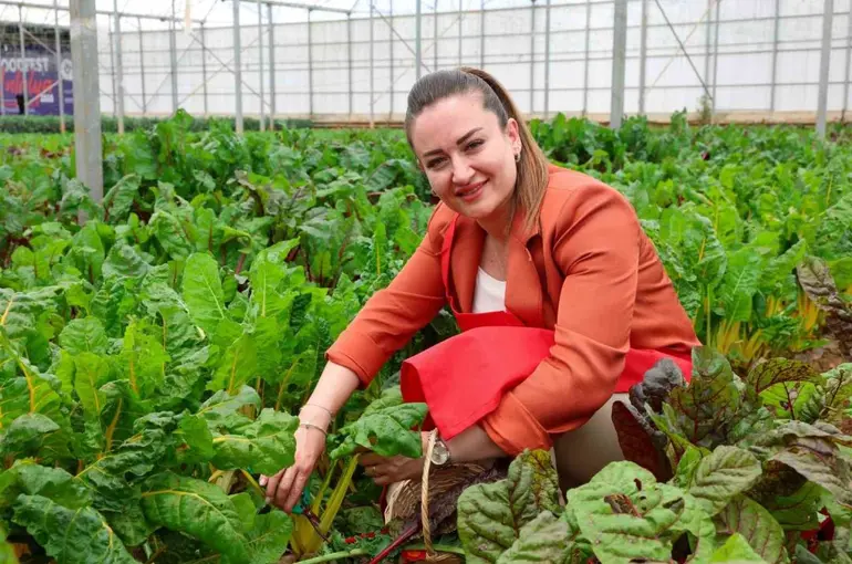 5. Uluslararası Antalya FoodFest Gastronomi Festivali Akdeniz yeşillikleri hasadıyla başladı
