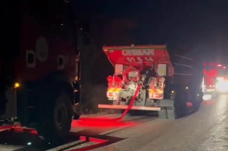 Adana’da orman yangını büyümeden söndürüldü
