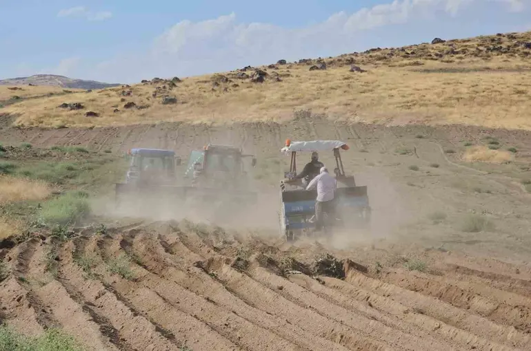 Adilcevaz’da buğday ekim sezonu başladı
