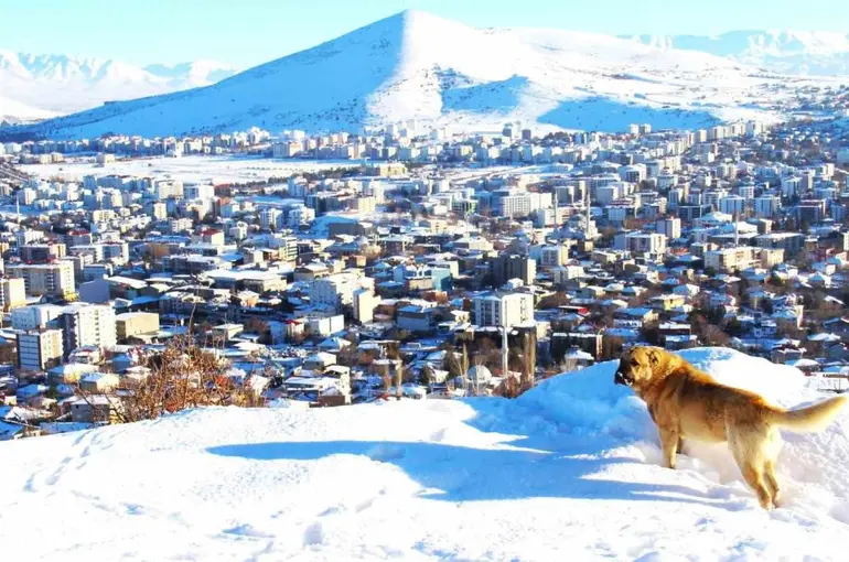 Afşin’de kar sonrası manzara hayran bıraktı
