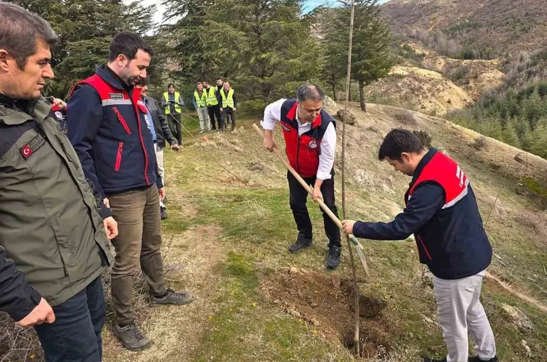 Afyonkarahisar’da 2 bin kestane fidanı toprakla buluşturuldu
