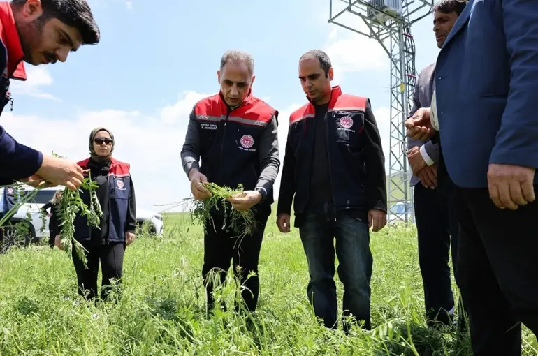 Akyaka’da dolu yağışı tarım arazilerini vurdu: Hasar tespit çalışmaları sürüyor
