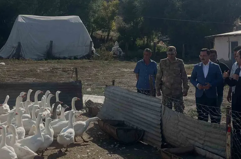 Akyaka’da kaz yetiştiriciliğine yakın takip
