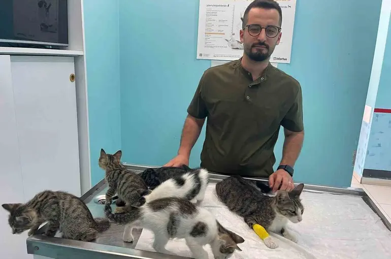 Alanya’da hayvana eziyet cezasız kalmadı
