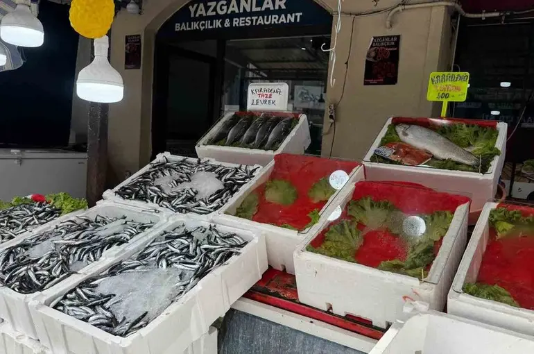 Alaplı’da balık tezgâhları boş kaldı
