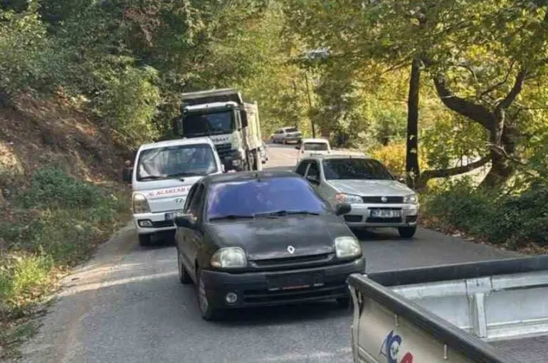 Alaplı’da yola devrilen ağaç, vatandaşlar  tarafından kaldırıldı
