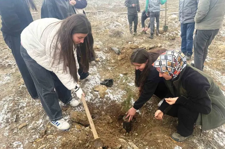 Altıntaş’ta lise öğrencileri fidan dikti
