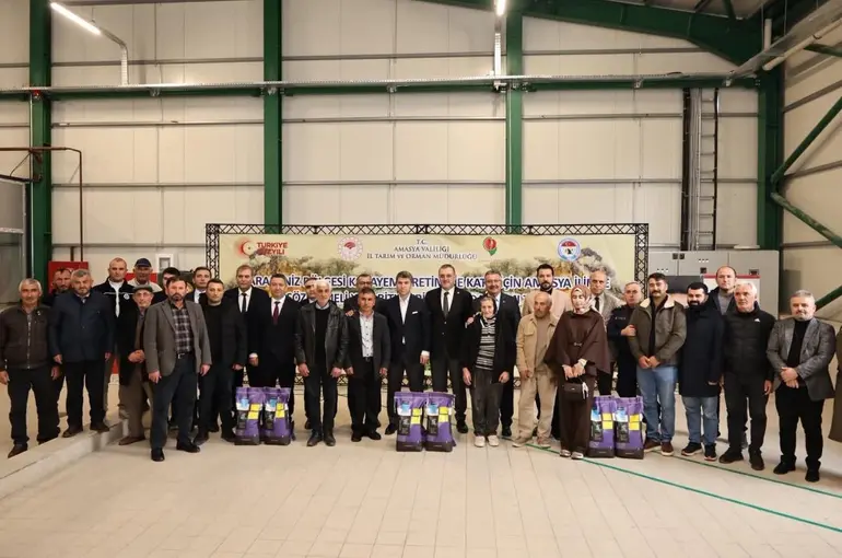 Amasya’da çiftçilere 16 bin kilo yonca tohumu desteği
