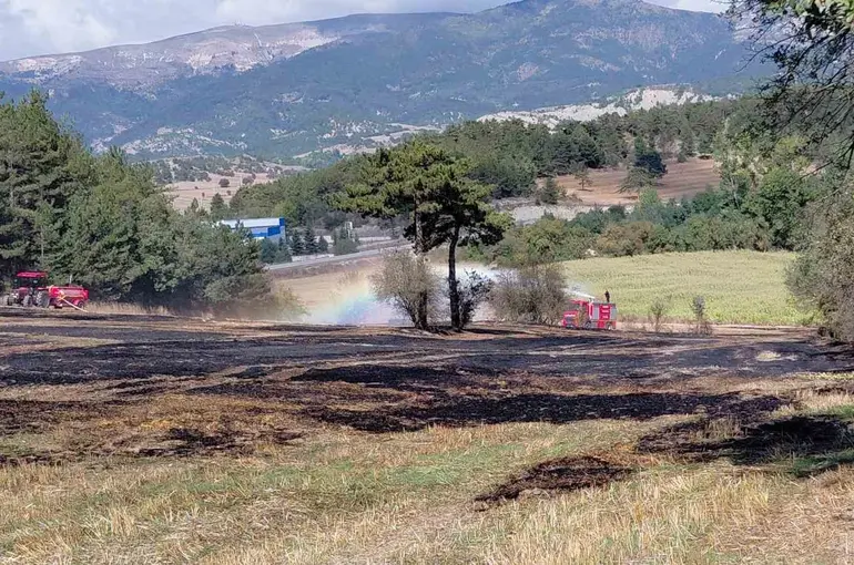 Anız yangını ormana sıçradı, köylülerin erken müdahalesi facianın önüne geçti
