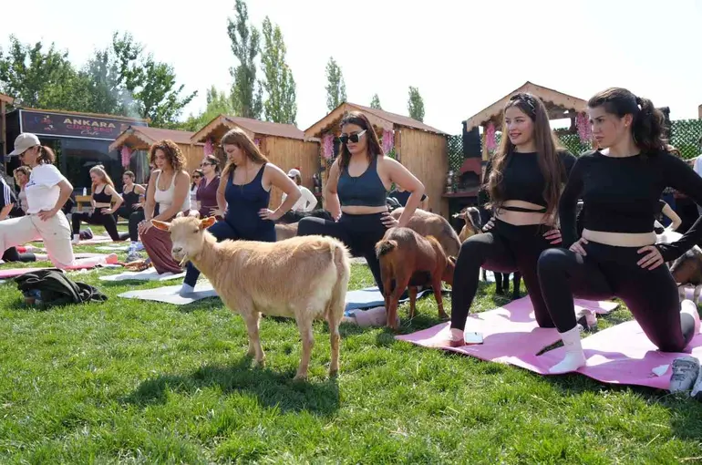 Ankara’da spora cüce keçiler de eşlik etti
