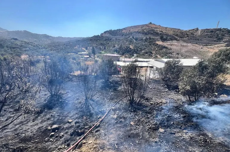 Antakya’da bahçe yangını
