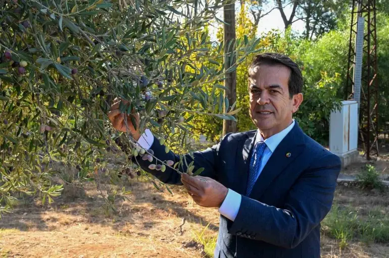 Antalya zeytinyağını markalaştıracak 30 öneri
