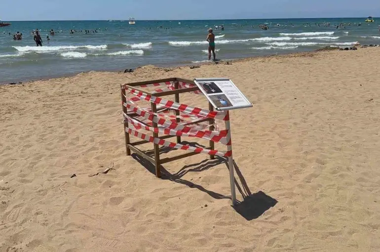 Antalya’da ’caretta caretta’ yuvası bilmecesi
